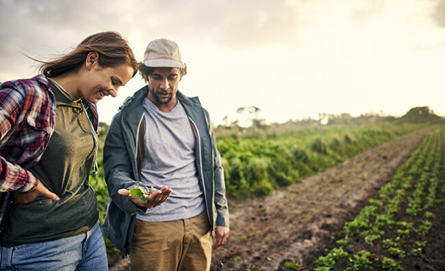 L’agriculture biologique (AB) est un mode de production respectueux de l’environnement, des hommes et des femmes ainsi que du bien-être animal