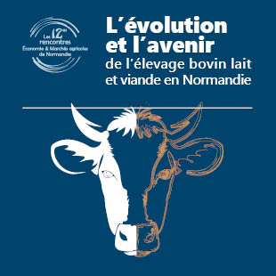 L'évolution et l'avenir de l'élevage bovin Normandie